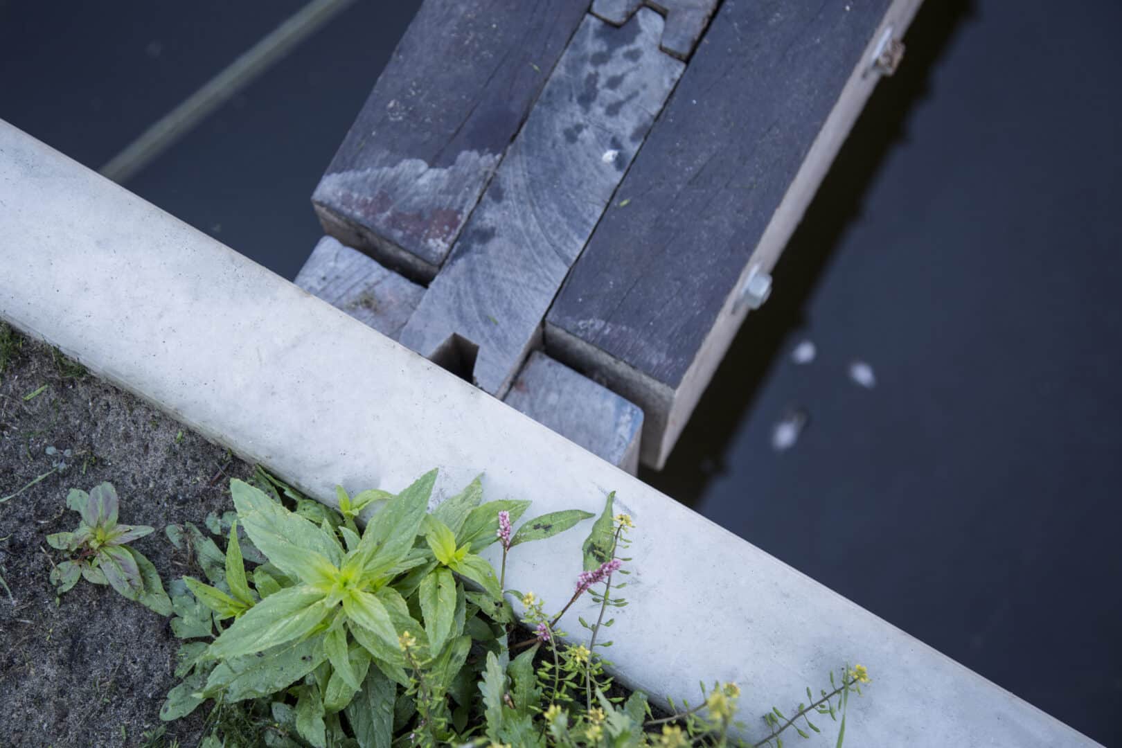 Bosch Beton - Waterkering in nieuwbouwwijk in Nijkerkerveen