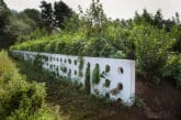 Bosch Beton - De bio-keerwand draagt positief bij aan biodiversiteit