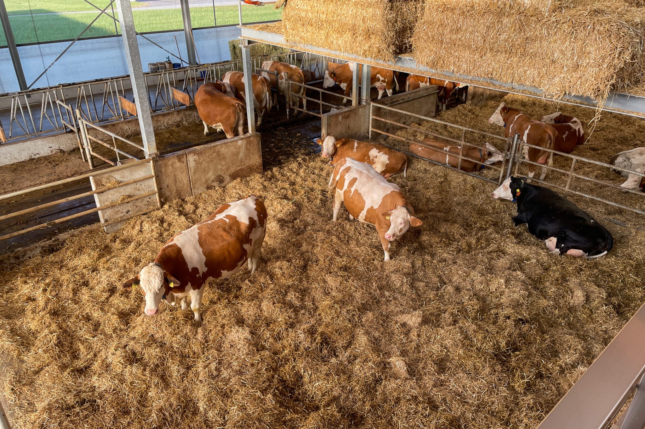 5 600 m3 de stockage de fourrage pour un élevage circulaire - Bosch Beton